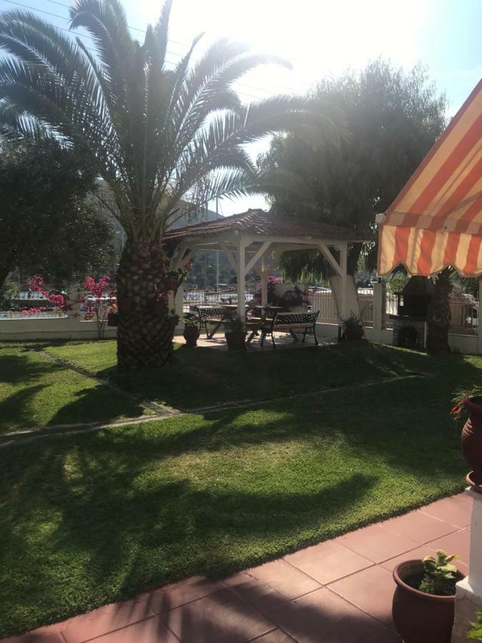 بورتو كوفو Studios Corali المظهر الخارجي الصورة